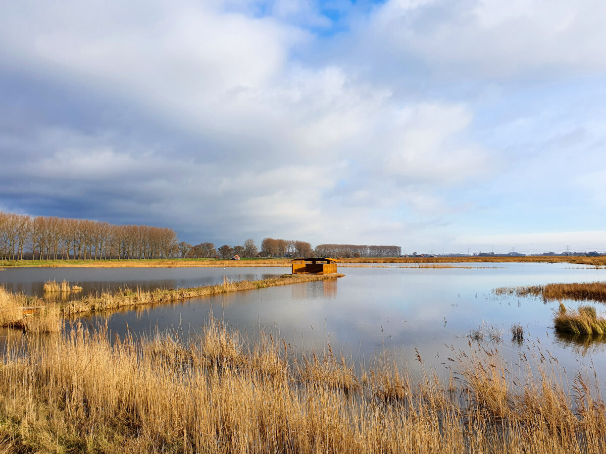 Nieuwe Hollandse Biesbosch